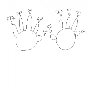 Base 2 finger counting