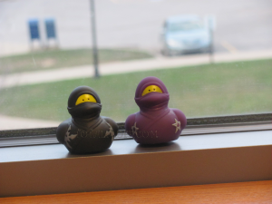 Two Ninja Duck Photobombers