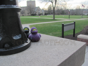 Two ninja ducks hiding behind a lamp post