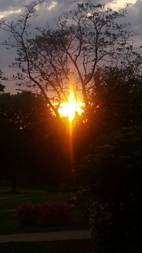 sunset picture with ray of light shining through