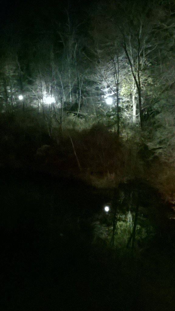 trees & lamps reflecting in a streamlet