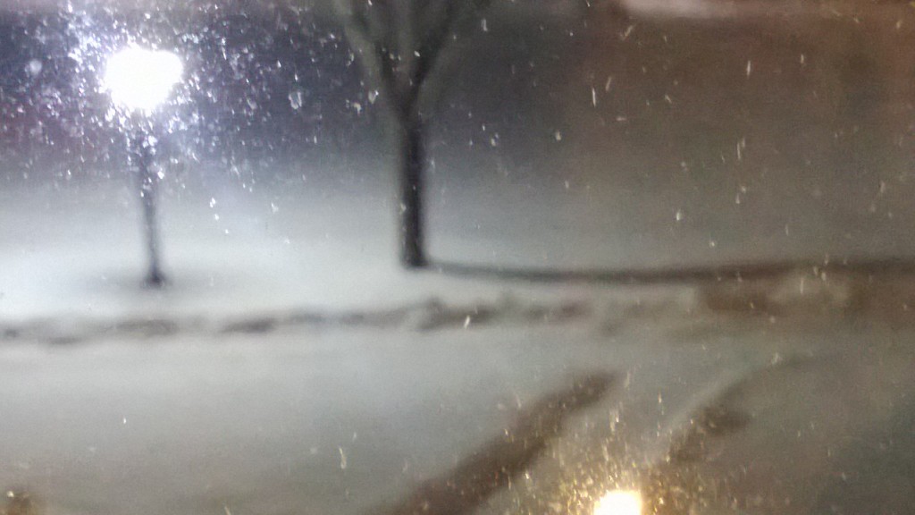 A very snowy landscape, with more coming down.