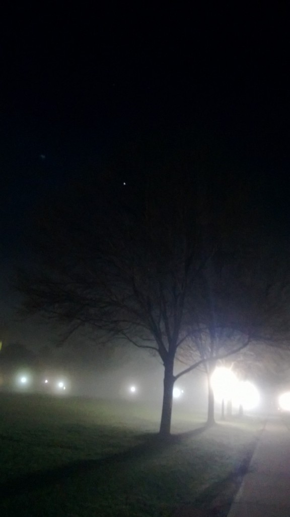 A star, a tree, and fog