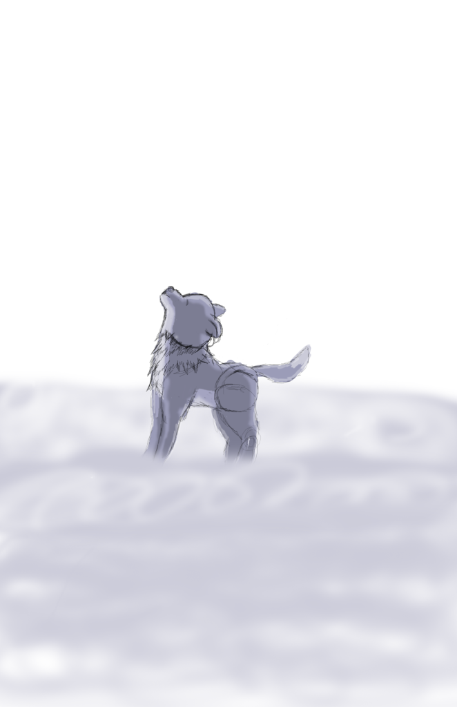 A wolf sketch the Webmaster made on her computer