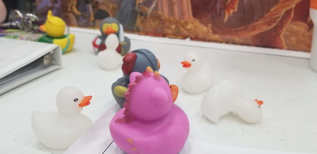 Ducks displaying D&D characters